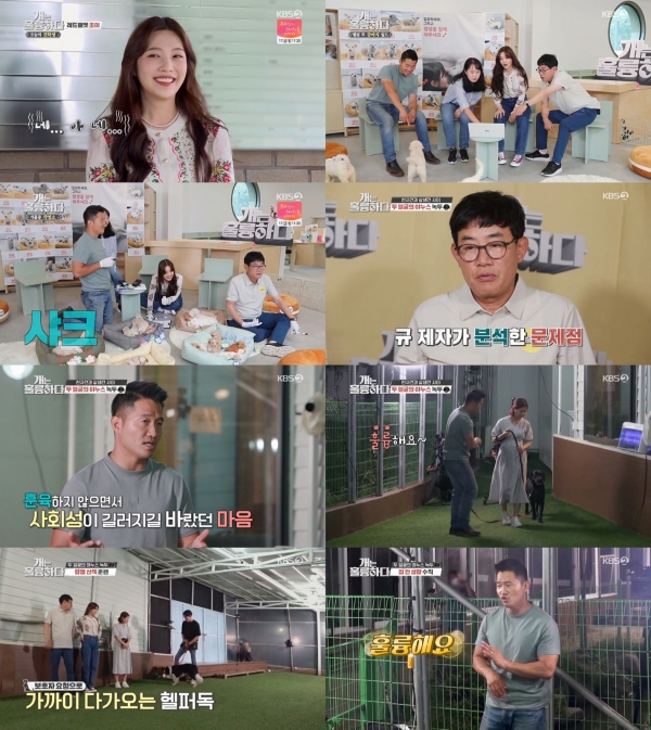사진=KBS2 '개는 훌륭하다' 방송 캡처